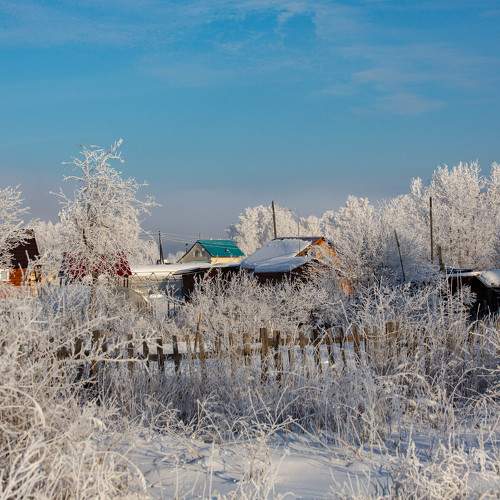 Photo #10186259