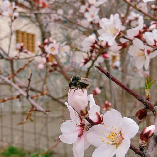 Photo #10186407