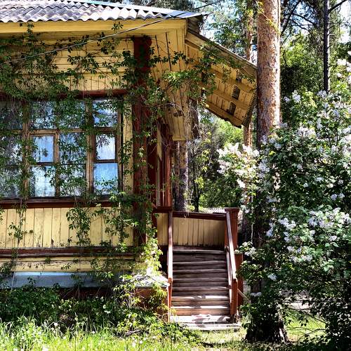 Photo #10187237