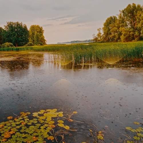 Photo #10187543