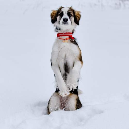 Photo #10188086