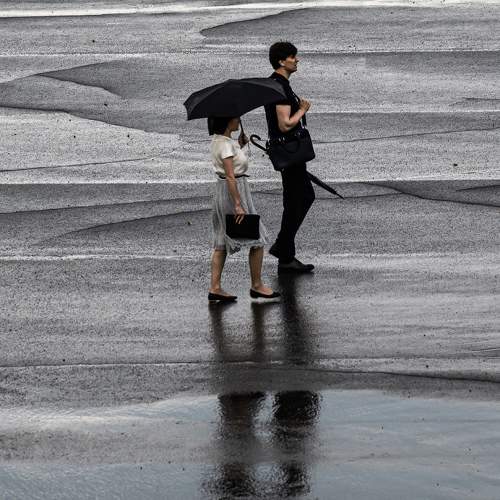Photo #10189184