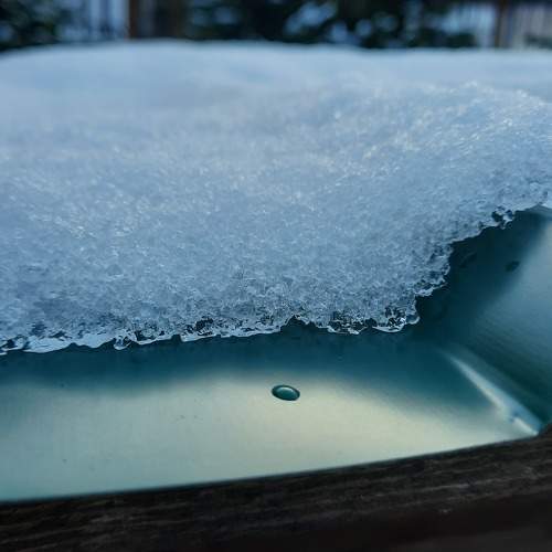 Photo #10189288