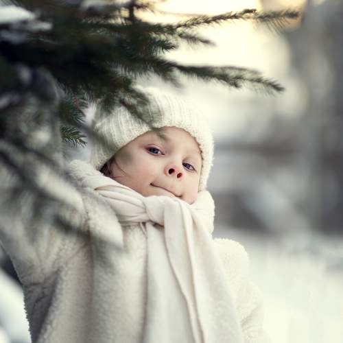 Photo #10189755