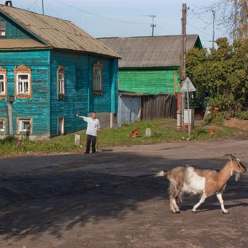 Photo #10190074