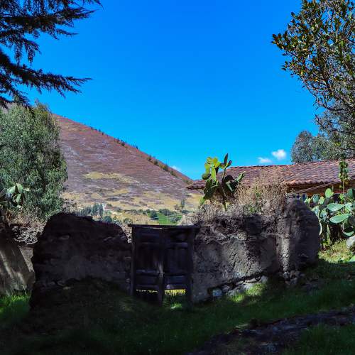 Photo #10190091