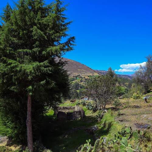 Photo #10190092