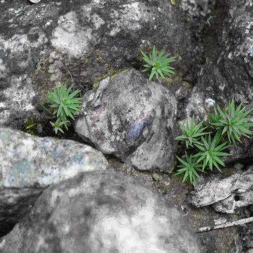 Photo #10190290