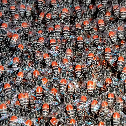 Photo #10190389