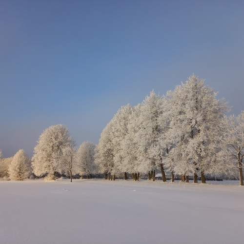 Photo #10191426