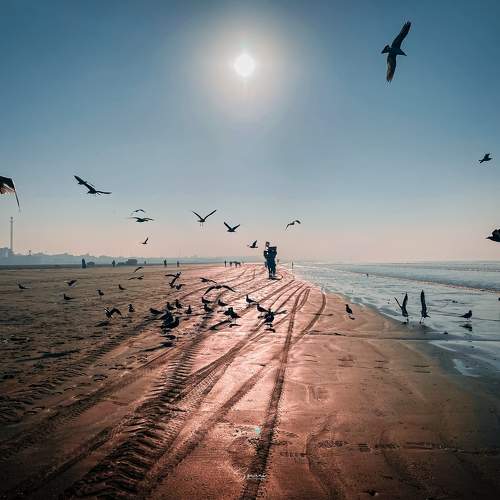 Photo #10191639
