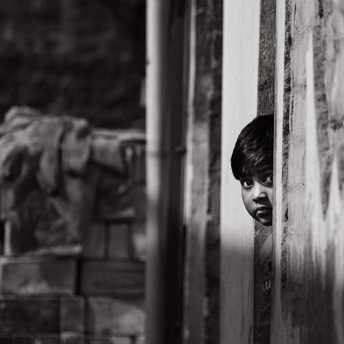 A Glimpse of Hope in a Monochrome World
