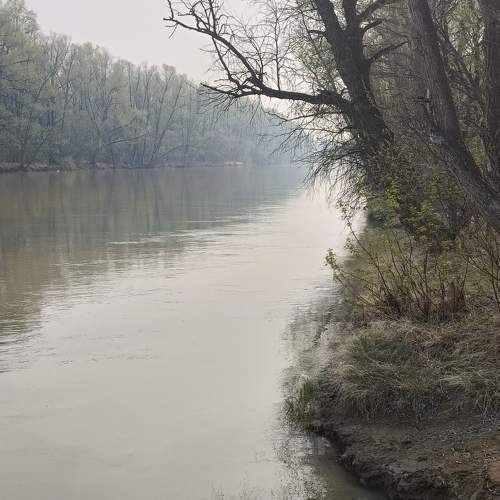 Photo #10191965