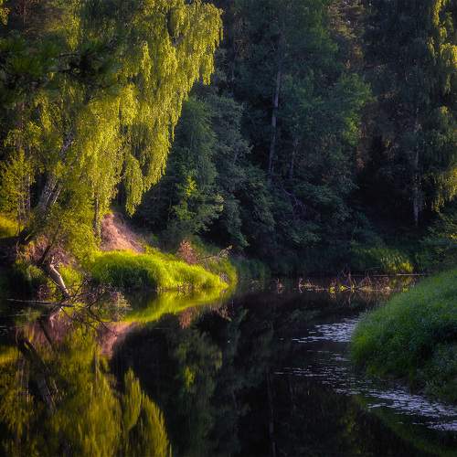 Photo #10192516