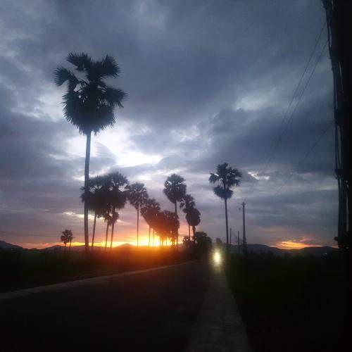 Photo #10192986