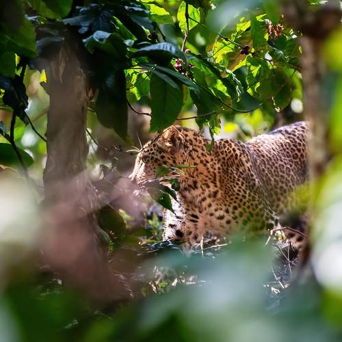 Photo #10193361