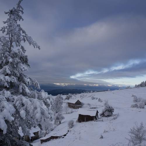 Photo #10193995