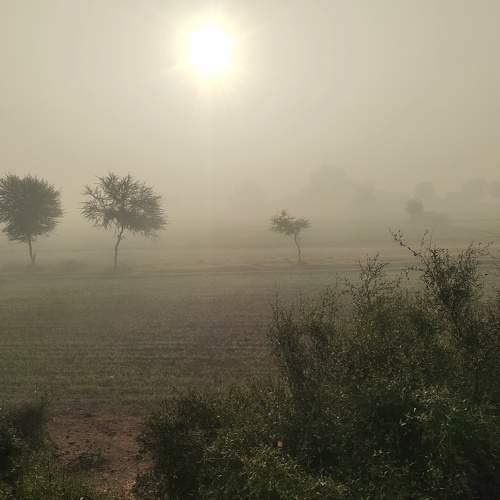 Photo #10194134