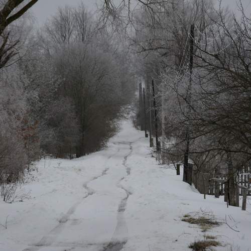 Photo #10195243