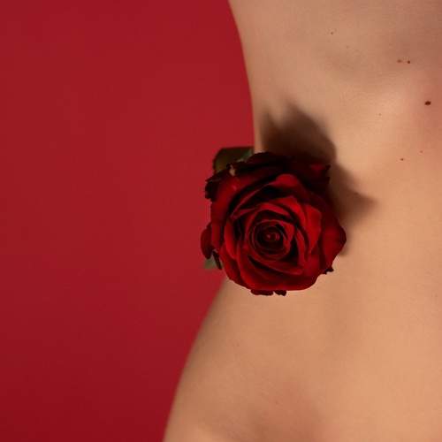 Photo #10195715