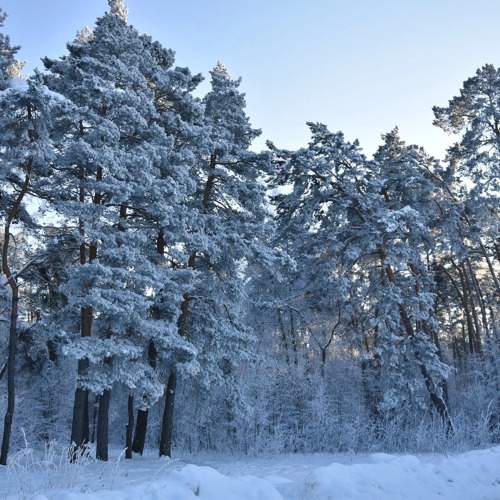 Photo #10195718