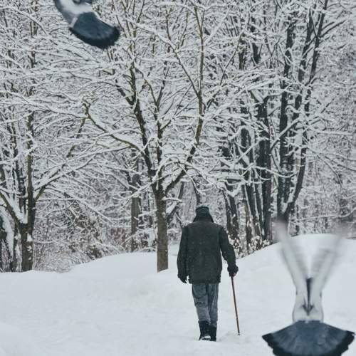 Photo #10195874
