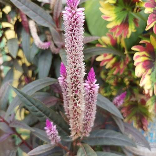 Photo #10196399