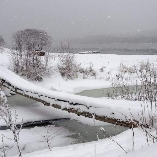 Фотография #10196679