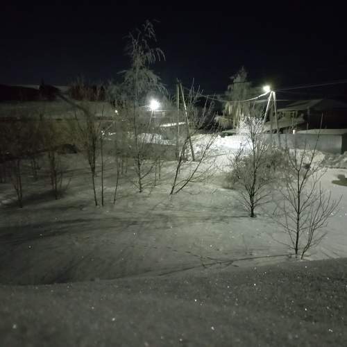 Photo #10196732