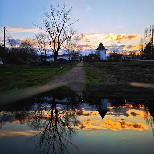 Photo #10196782