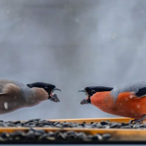 Photo #10197229