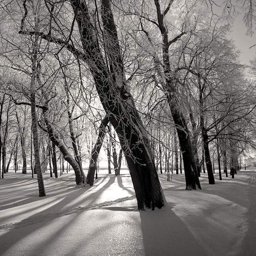 Photo #10197444