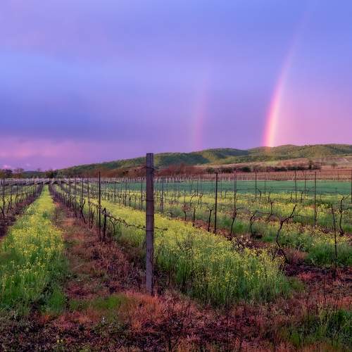 Photo #10197467