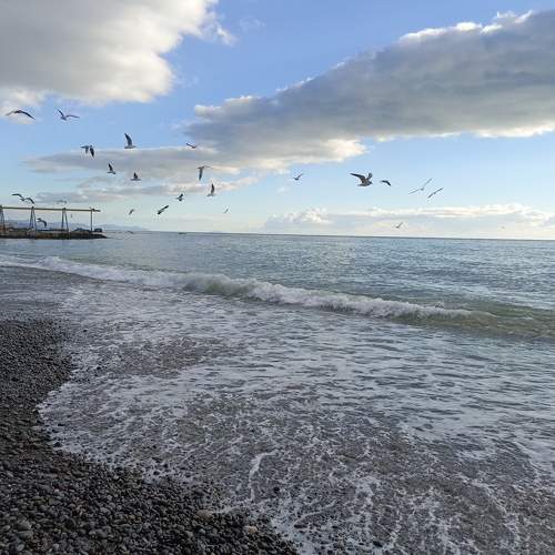 Photo #10197593