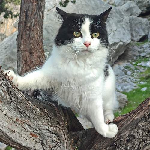 Photo #10197879