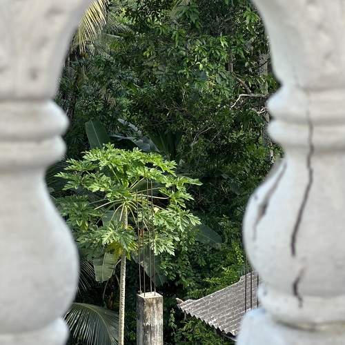 Photo #10198337