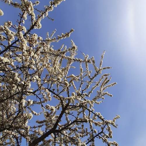 Photo #10198453