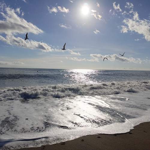 Photo #10198853