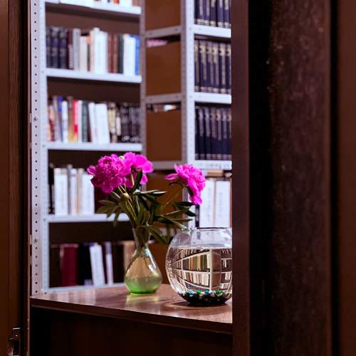 Photo #10199290