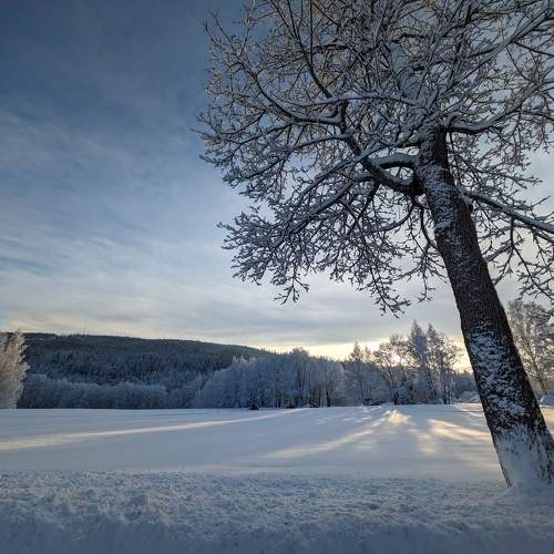 Photo #10199414
