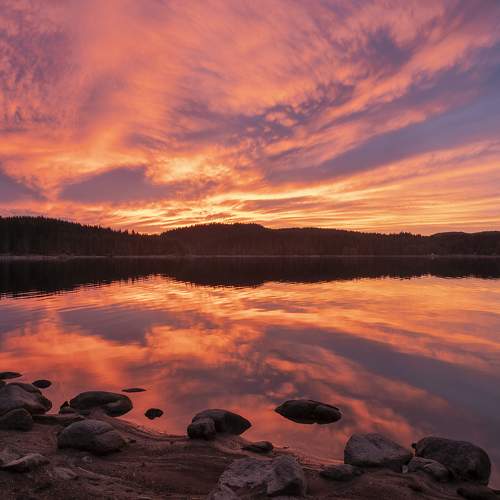 Photo #10199479