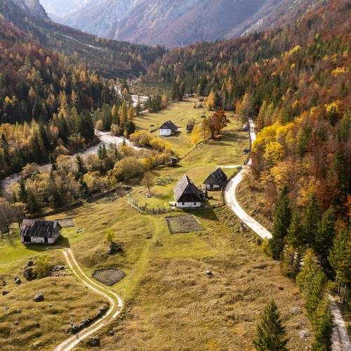 Photo #10199494