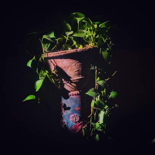 Photo #10199577