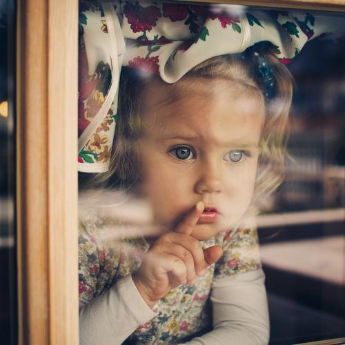 Photo #1020603