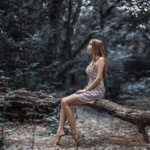 Photo #1021532