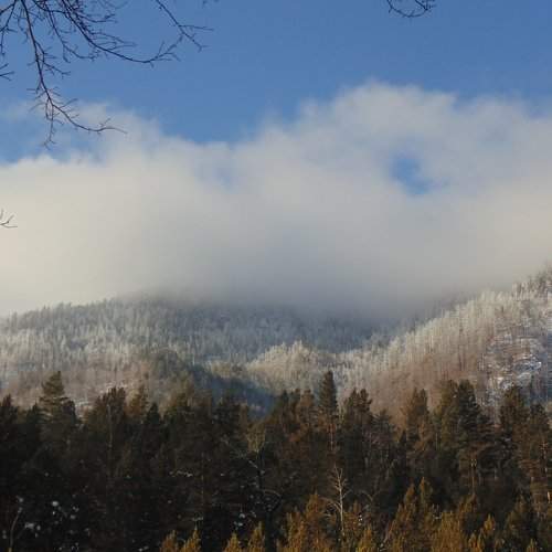 Photo #1021596