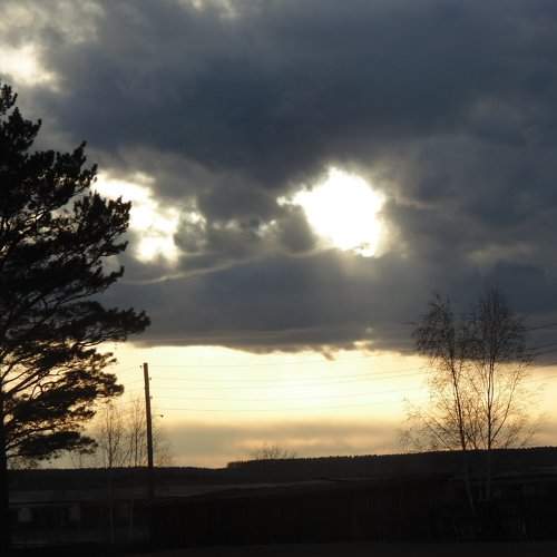 Photo #1021612