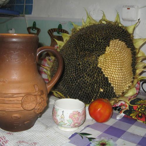 Photo #1023009
