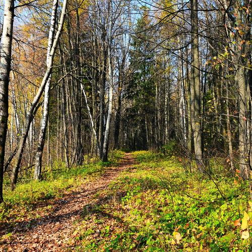 Photo #1023085