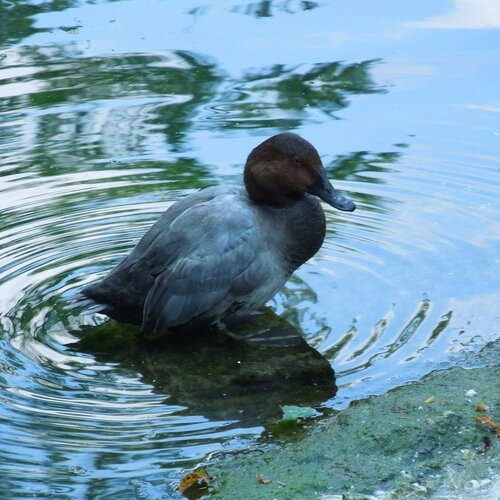 Photo #1024194